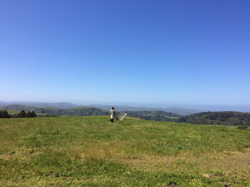 [A picturesque view of a green expanse of grass and above it deep blue sky and a peek of mountains. A figure stands in the field looking out.]