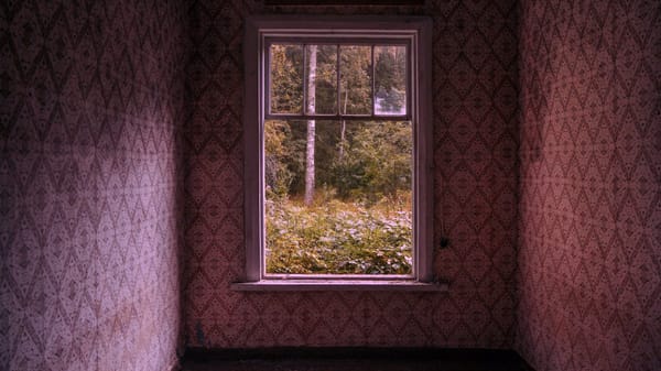 A claustrophobic room with pink wallpaper has one window. The glass is broken but it looks outside at the trees.